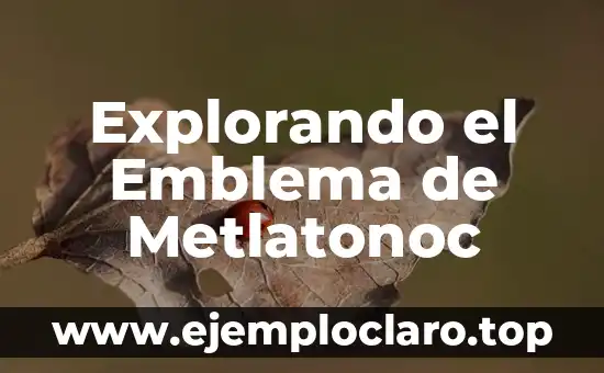 Explorando el Emblema de Metlatonoc