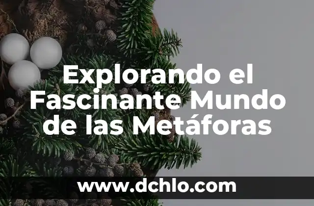 Mitsein Simone de Beauvoir Significado - Explorando el Ser Con 5 Explorando el Fascinante Mundo de las Metáforas