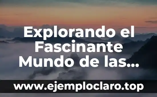 Explorando el Fascinante Mundo de las Metáforas