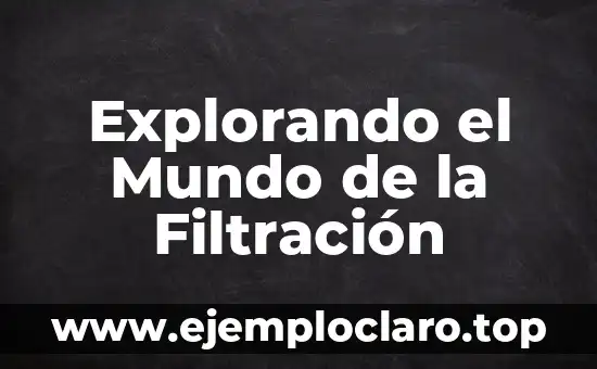 Explorando el Mundo de la Filtración