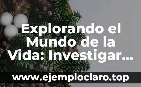 Explorando el Mundo de la Vida: Investigar el Significado de Biología