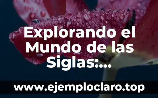El Misterio de la Existencia: Explorando el Significado de la Vida 7 Explorando el Mundo de las Siglas: Entendiendo U4MR