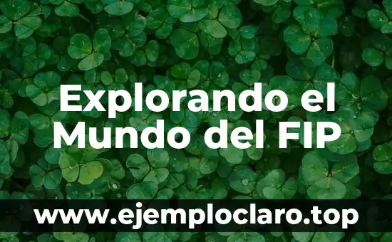 Explorando el Mundo del FIP