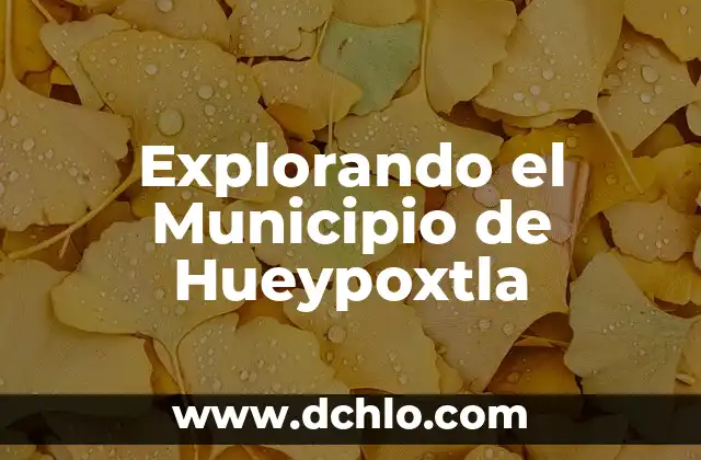 Mitsein Simone de Beauvoir Significado - Explorando el Ser Con 3 Explorando el Municipio de Hueypoxtla