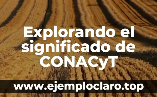 Explorando el significado de CONACyT