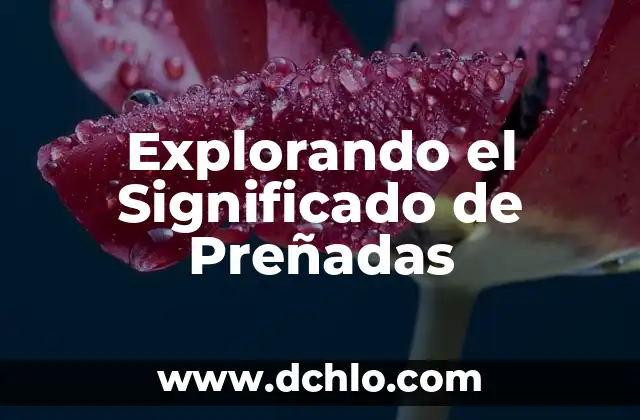 Explorando el Concepto de Incrédulo 4 Explorando el Significado de Preñadas
