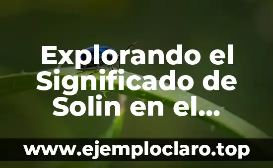 Explorando el Significado de Solin en el Idioma Árabe