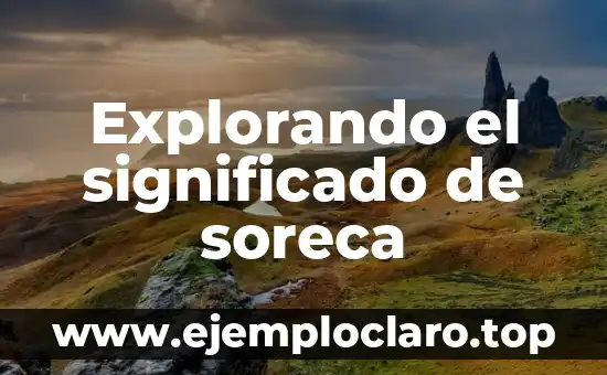 Explorando el significado de soreca