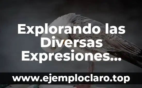 Alando: Un Concepto Esencial en Diversas Disciplinas 8 Explorando las Diversas Expresiones Culturales