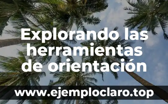 Explorando las herramientas de orientación