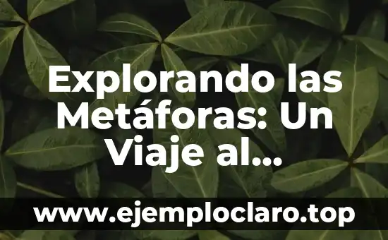 Explorando las Metáforas: Un Viaje al Corazón del Lenguaje