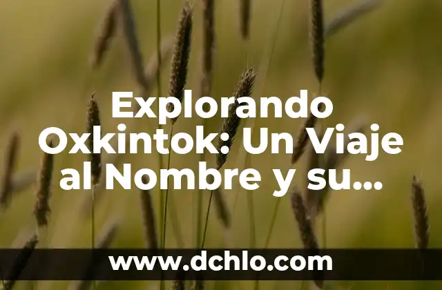 El Nombre y Significado de Tarimbaro 3 Explorando Oxkintok: Un Viaje al Nombre y su Significado