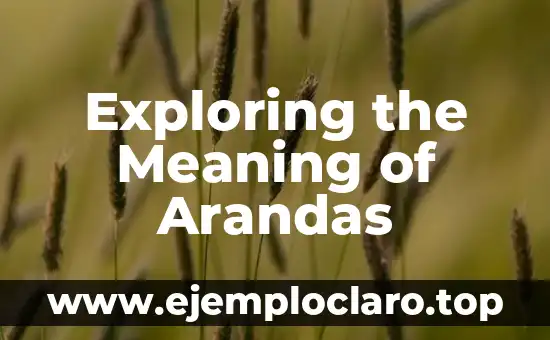 Exploring the Meaning of Arandas