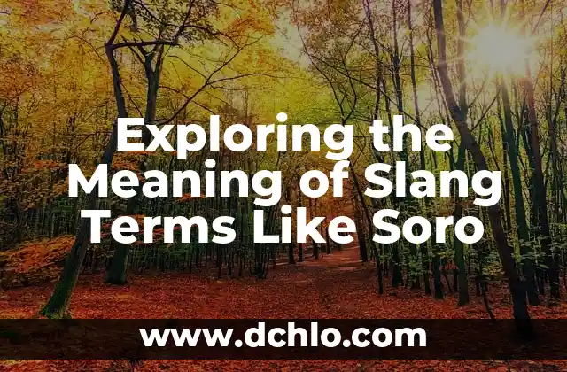 Significados de Like Not Like 3 Exploring the Meaning of Slang Terms Like Soro