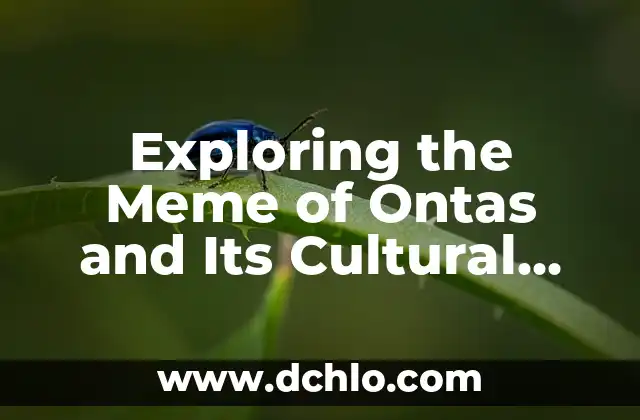 What Does 'Me Quedé de Piedra' Mean? A Complete Guide to Its Meaning and Usage 8 Exploring the Meme of Ontas and Its Cultural Impact