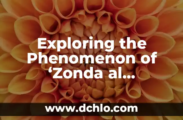 What Does 'Me Quedé de Piedra' Mean? A Complete Guide to Its Meaning and Usage 5 Exploring the Phenomenon of ‘Zonda al Herbazal’ and Its Implications