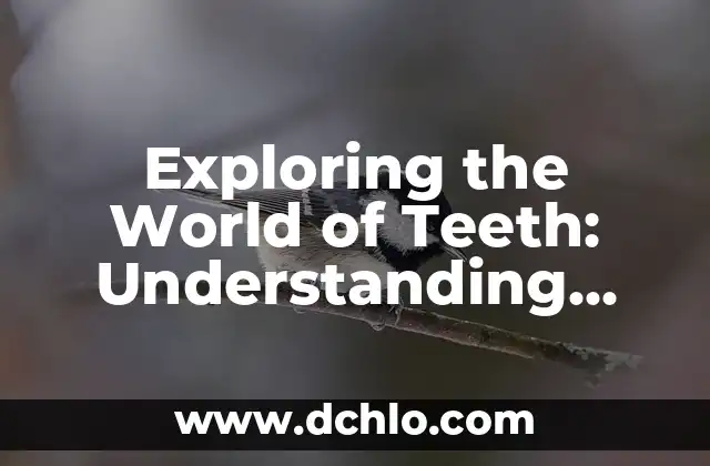 Exploring the World of Memes: Understanding 'Homies' Through Humor 4 Exploring the World of Teeth: Understanding ‘Dento’