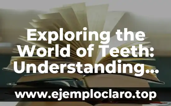 Exploring the World of Teeth: Understanding ‘Dento’