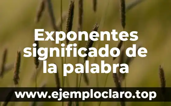 Examen significado de la palabra 7 Exponentes significado de la palabra