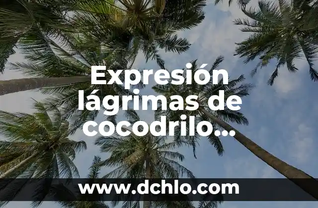 Significado de las Lágrimas de las Velas: Un Misterio que Fascina 3 Expresión lágrimas de cocodrilo significado
