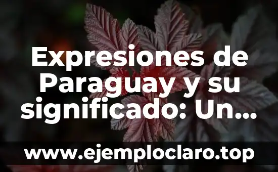 Expresiones de Paraguay y su significado: Un viaje cultural