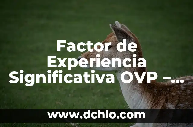 Evaluación Significativa de Jere Brophy 4 Factor de Experiencia Significativa OVP – Un Enfoque Integral