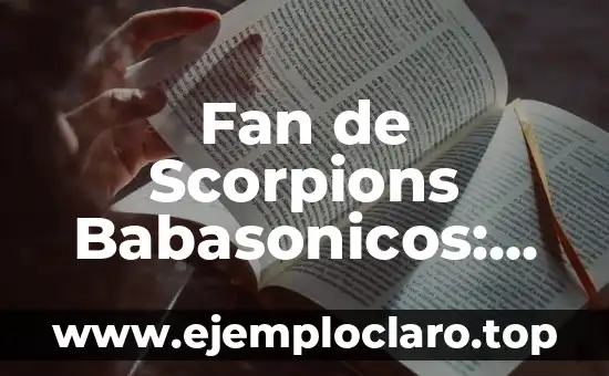 El Mundo de los Sueños: Descubre el Significado de tus Sueños 3 Fan de Scorpions Babasonicos: Descubriendo su Significado
