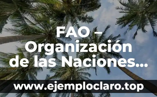 Contaminación de Semillas: Un Tema Fundamental en Agricultura 3 FAO – Organización de las Naciones Unidas para la Alimentación y la Agricultura