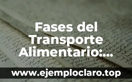 Cómo hacer el abono transporte Madrid 4 Fases del Transporte Alimentario: Una Visión Integral
