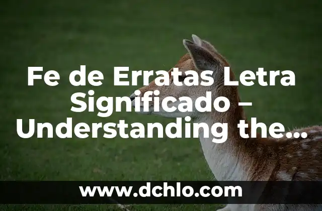 Cómo Hacer Historias con Música y Letra 6 Fe de Erratas Letra Significado – Understanding the Concept