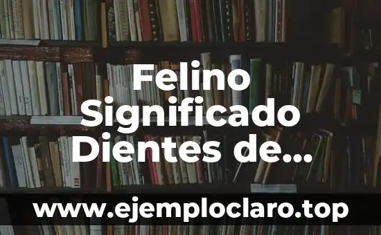 Significado de Felino 3 Felino Significado Dientes de Sable