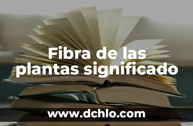 Nivel de inglés A1 significado 6 Fibra de las plantas significado