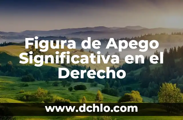 Significado de Acepciones del Derecho 7 Figura de Apego Significativa en el Derecho