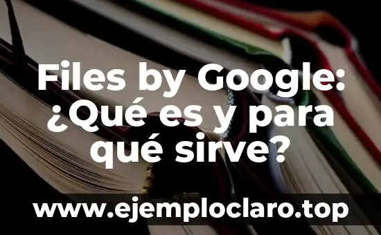 ¿Cuándo es el Día de los Abuelos? - Fecha, Orígenes y Significado 6 Files by Google: ¿Qué es y para qué sirve?