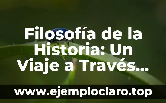 Filosofía de la Historia: Un Viaje a Través del Tiempo y la Reflexión