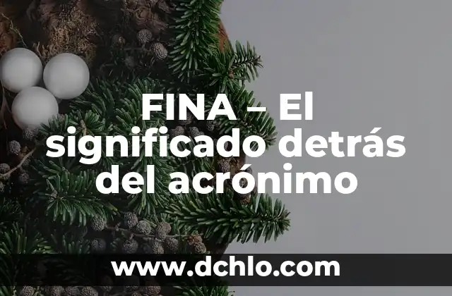 Origen y significado de filosofía 5 FINA – El significado detrás del acrónimo