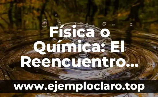 El Significado Etimológico de la Física 5 Física o Química: El Reencuentro Reparto – Análisis de la Serie