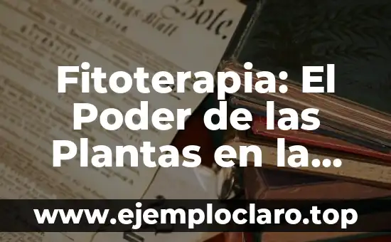 Fitoterapia: El Poder de las Plantas en la Salud