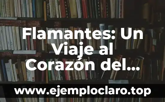 Flamantes: Un Viaje al Corazón del Color y la Luz
