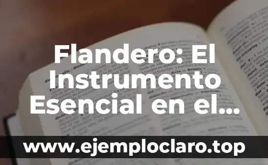 Flandero: El Instrumento Esencial en el Mundo Laboral