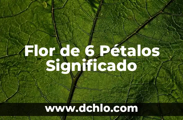 El Significado en Física de la Ausencia: Un Enfoque en el Vacío y la Nada 4 Flor de 6 Pétalos Significado