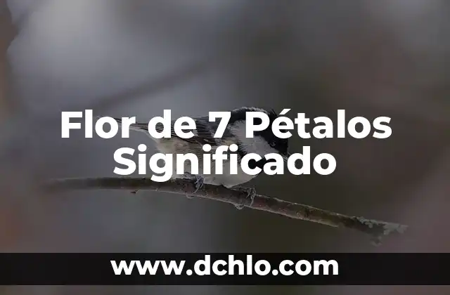 Floritura - El Significado en la Historia 5 Flor de 7 Pétalos Significado