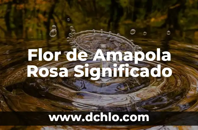 Flor Rosa de Jericó Significado 4 Flor de Amapola Rosa Significado