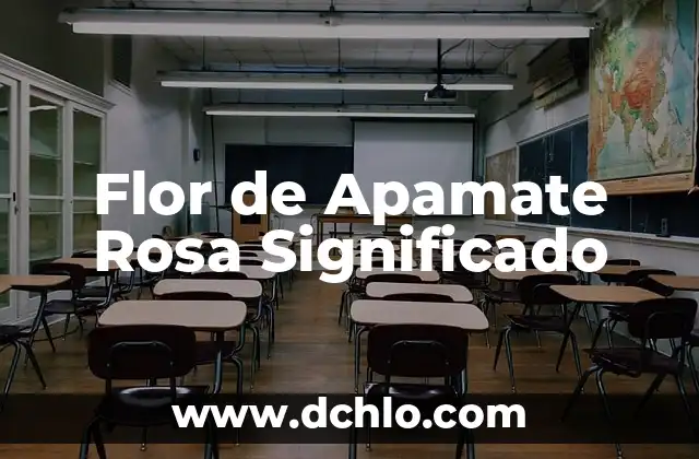 Flor de Amapola Rosa Significado 5 Flor de Apamate Rosa Significado