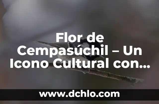 Flores de Cempasúchil que significan 4 Flor de Cempasúchil – Un Icono Cultural con Profundo Significado