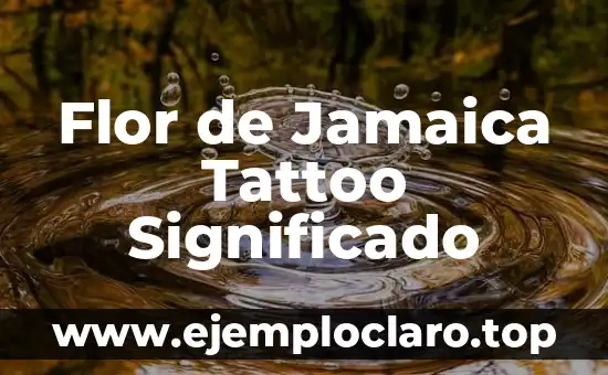 Como Hacer Agua de Jamaica 3 Flor de Jamaica Tattoo Significado