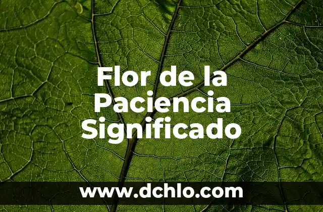 Flor Oreja de Oso Significado 7 Flor de la Paciencia Significado