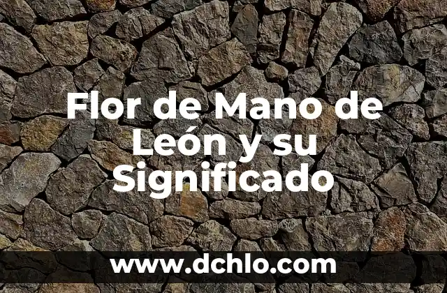 Pluma de Santa Teresa: Un Símbolo con Profundo Significado 5 Flor de Mano de León y su Significado