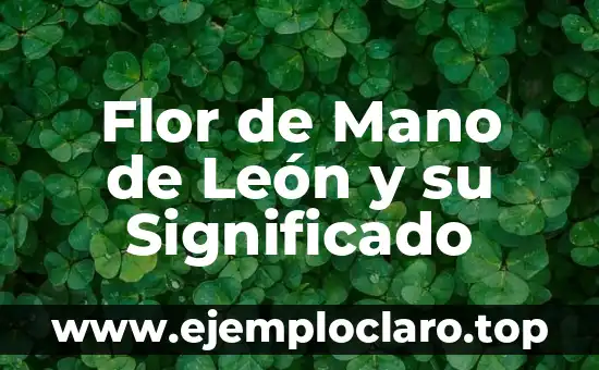 Polilla de la Muerte Significado - Un Análisis Profundo 4 Flor de Mano de León y su Significado