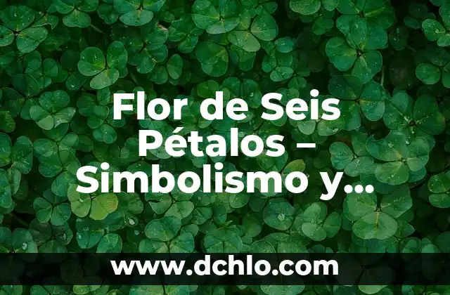 El Significado de la Flor de Ocho Pétalos 3 Flor de Seis Pétalos – Simbolismo y Significado